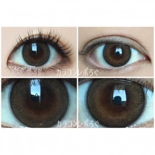 FLANMY Maple Chiffon 10片裝 FLANMY Maple Chiffon 10片裝